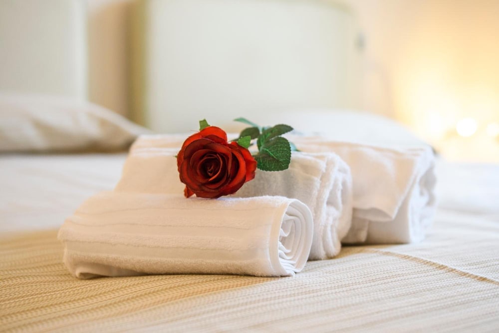 Domus Il Palio B&B