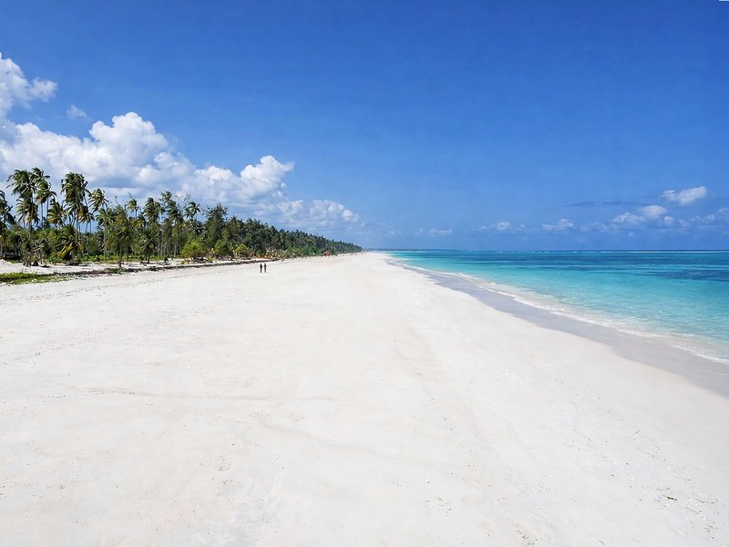 Kappa Senses Zanzibar