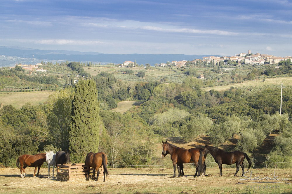 Tenuta Castellare Di Tonda