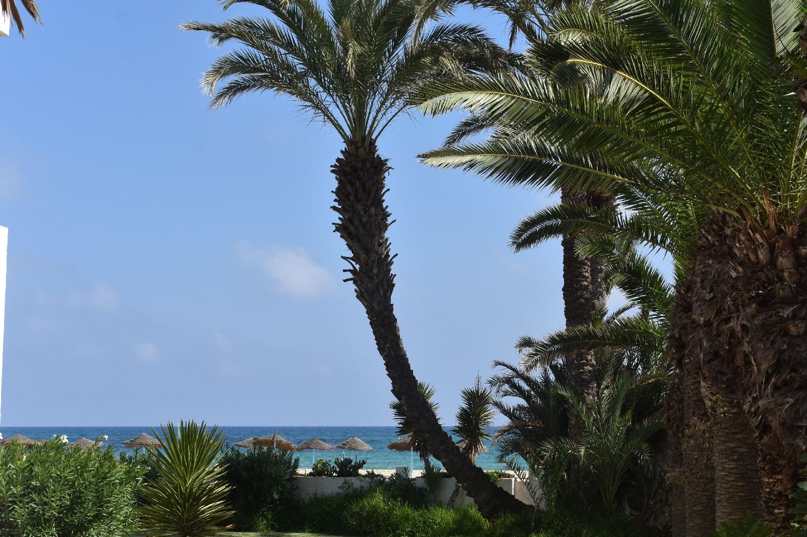 Hôtel Hammamet Beach