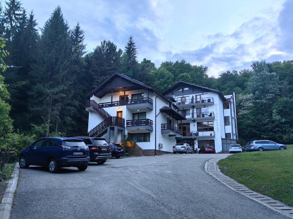 Hotel Hotel Trei Brazi