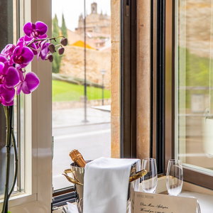 Hotel Hotel Rector cazare Salamanca