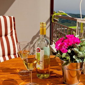 Hotel Calm View cazare Lefkada (toate statiunile)