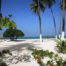 Sejur Stanza Mare Coral Comfort vacanta Punta Cana