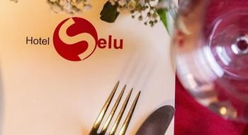 Hotel Hotel Selu