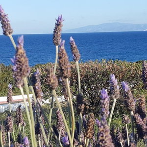 Sejur Glyfa Village vacanta Paros