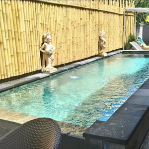 Sejur Nyoman Badri Homestay vacanta Ubud