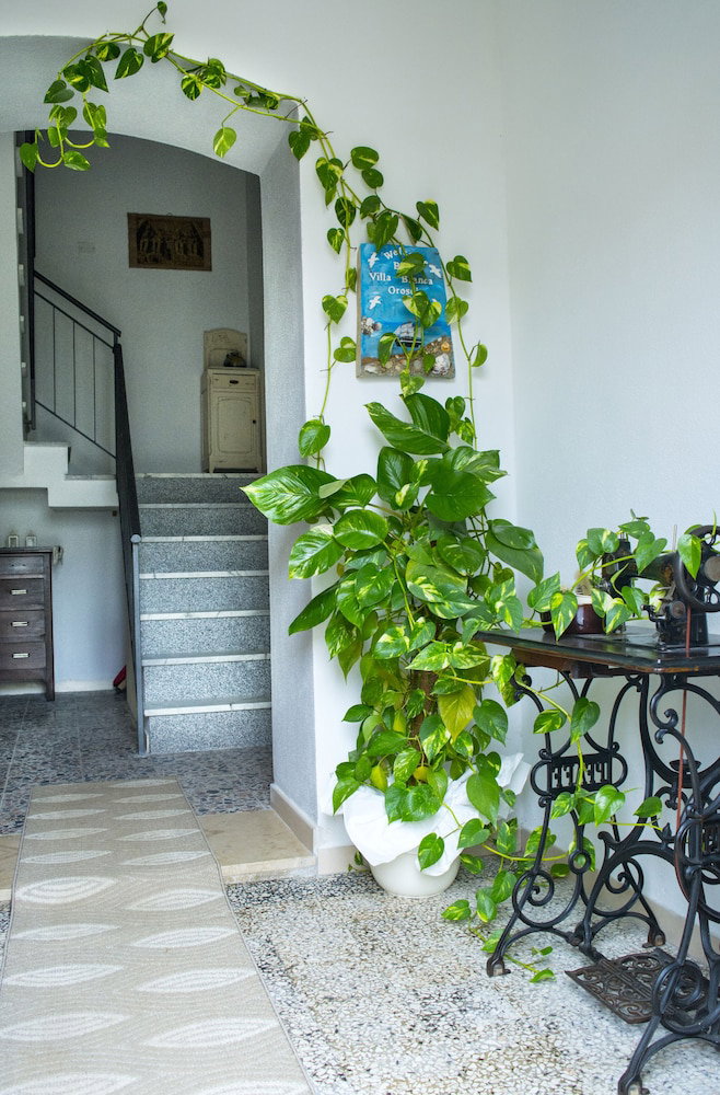 Bed And Breakfast Villa Bianca