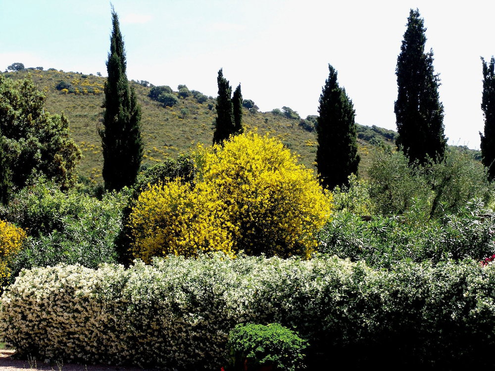 Hotel Agriturismo Fattoria Il Casalone