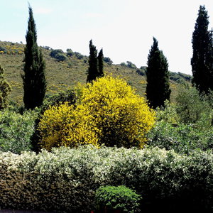 Hotel Agriturismo Fattoria Il Casalone cazare Orbetello