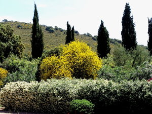 Hotel Agriturismo Fattoria Il Casalone cazare Orbetello