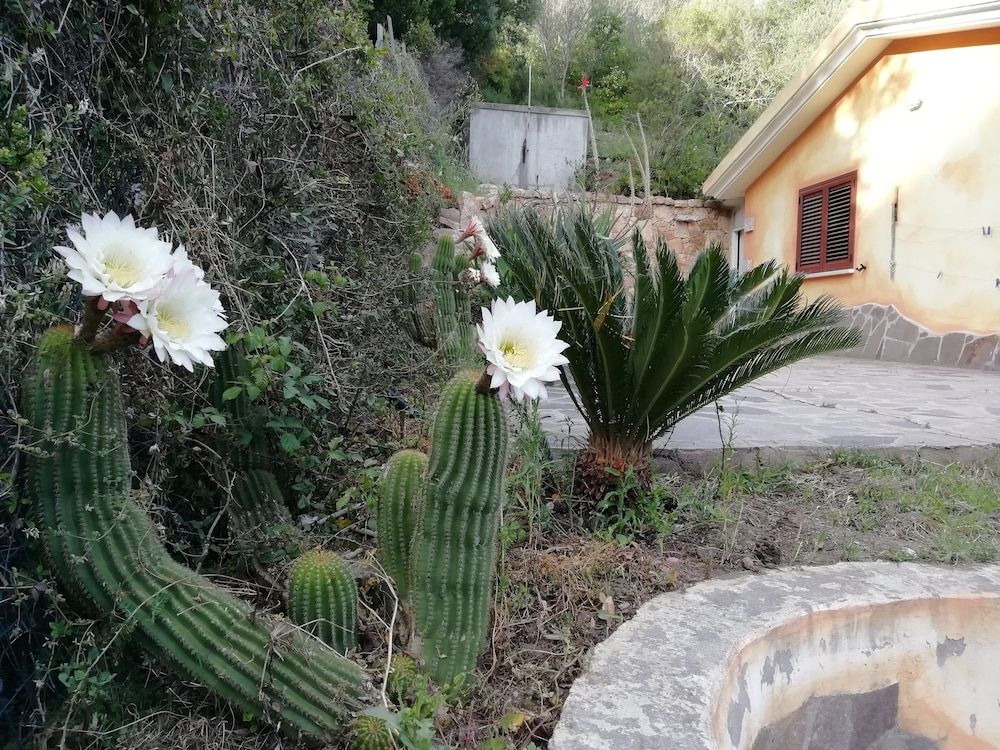 In Campagna Da Nino