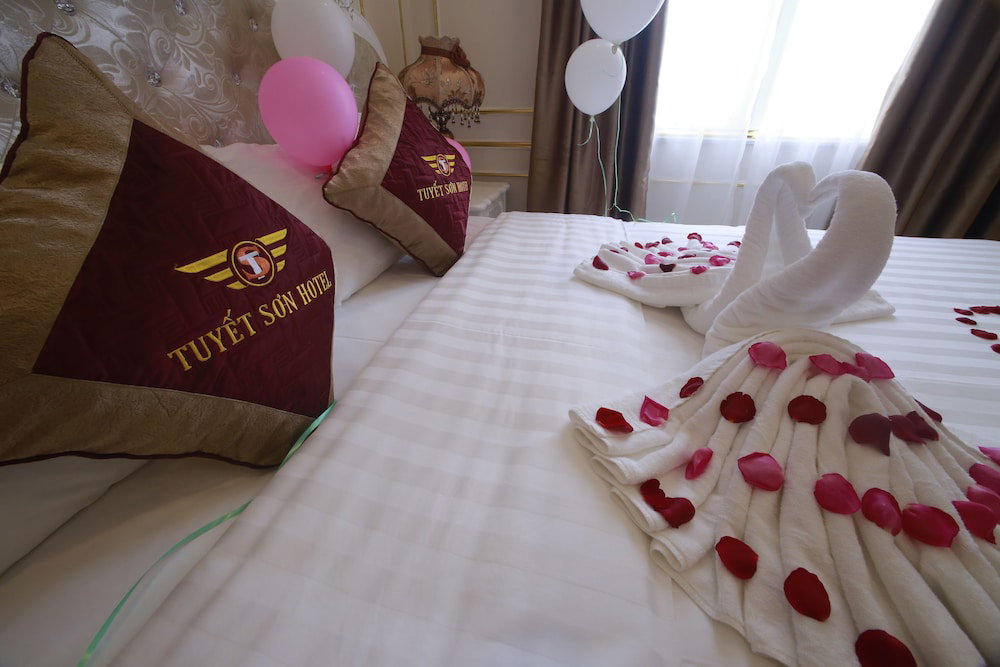 Hotel Tuyet Son Hotel