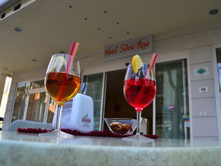 Hotel Hotel Silvie Rose