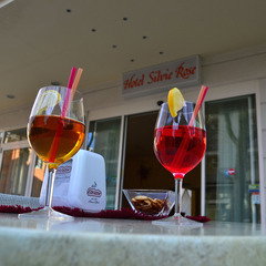 Hotel Hotel Silvie Rose cazare Cesenatico