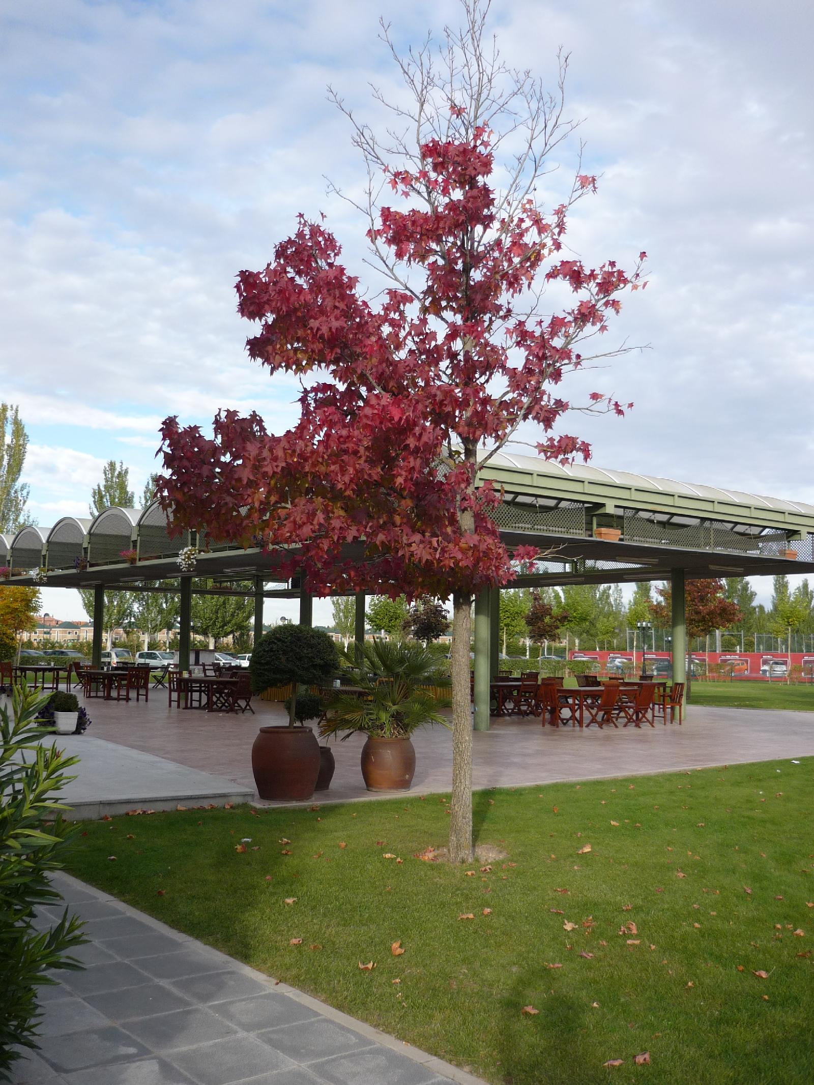 Hotel Hotel Lasa Sport