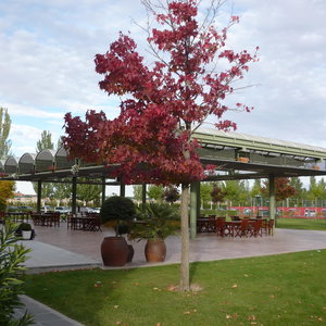 Hotel Hotel Lasa Sport cazare Valladolid