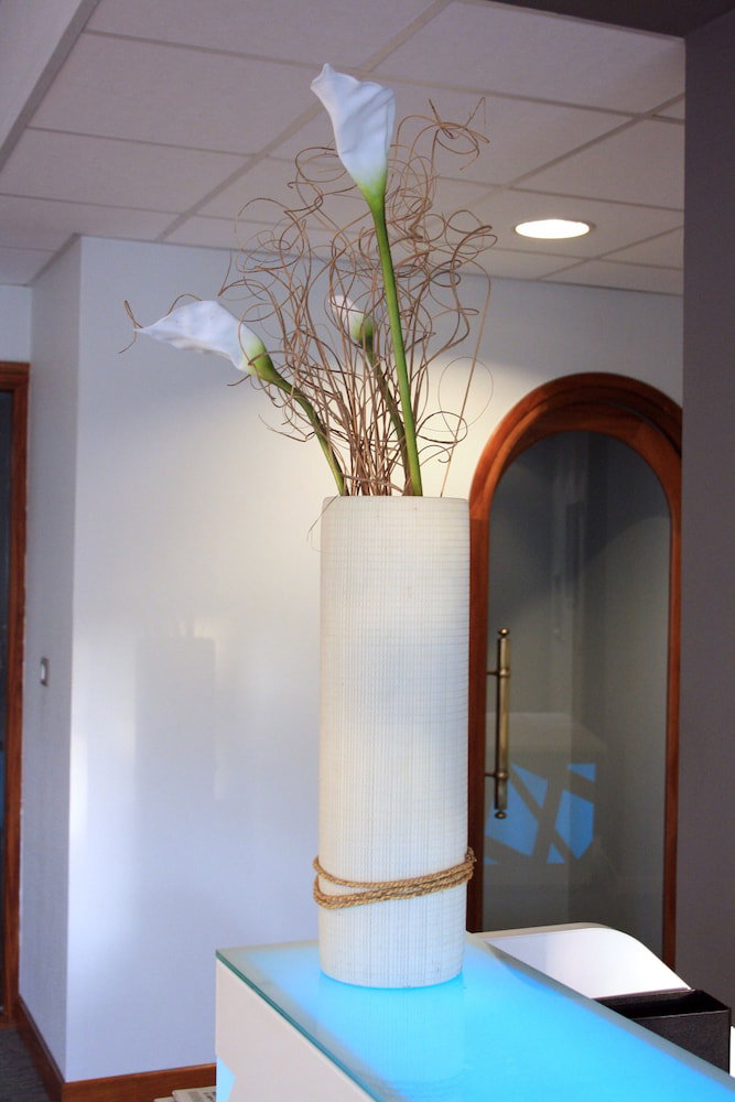 Hotel Ibaia