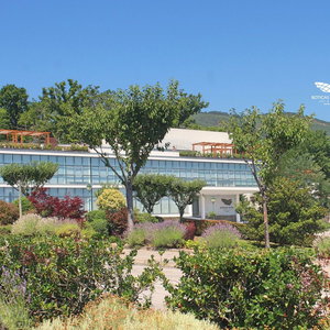 Hotel Boticas Hotel - Art & Spa cazare Boticas