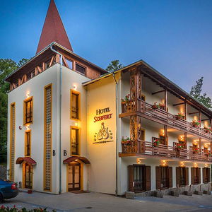 Hotel Szeifert Hotel 3*+ cazare Sovata