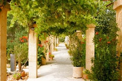 Agroturismo Son Sampoli
