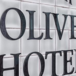 Sejur Évora Olive Hotel vacanta Evora