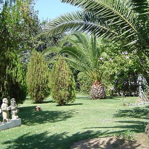 Hotel Quinta Dos Oliveiras cazare Carvoeiro