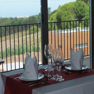 Hotel Vale DAzenha Hotel & Residences cazare Cela