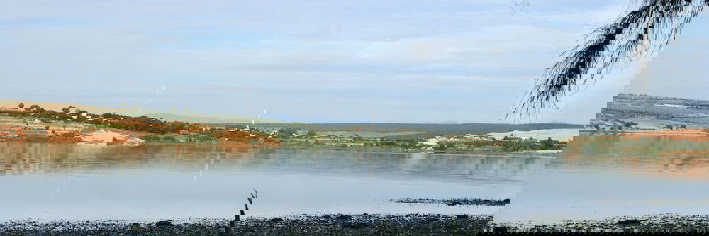 Hotel The Cliff Resort & Residences