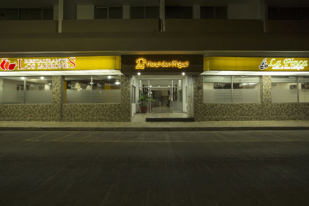 Hotel Hotel Don Miguel