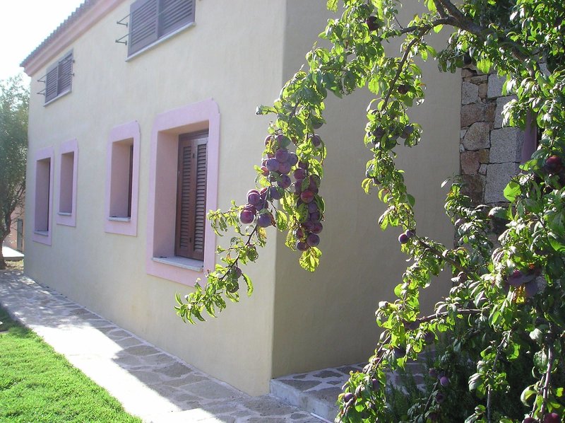 Hotel Residence Domenique Vacances