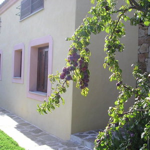 Hotel Residence Domenique Vacances cazare Budoni
