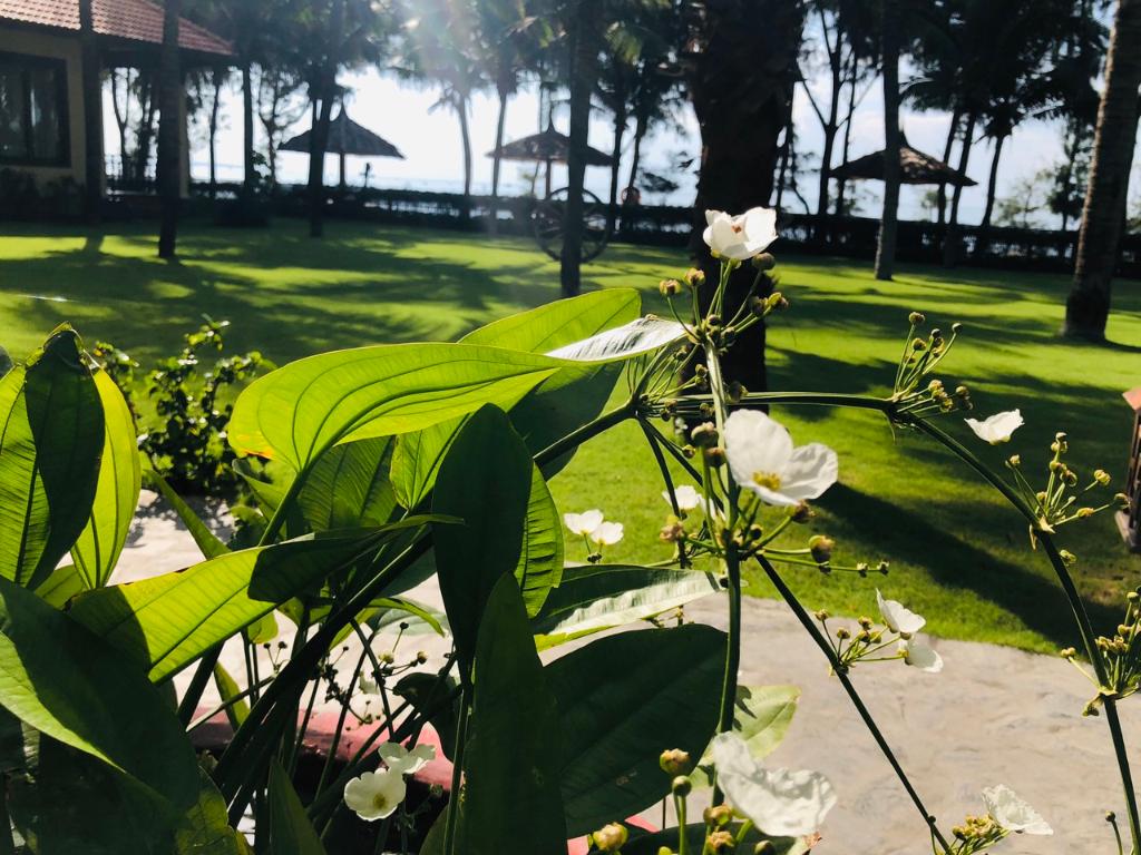 Sunny Beach Resort And Spa