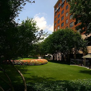 Hotel Embassy Suites By Hilton Dallas Love Field cazare Dallas
