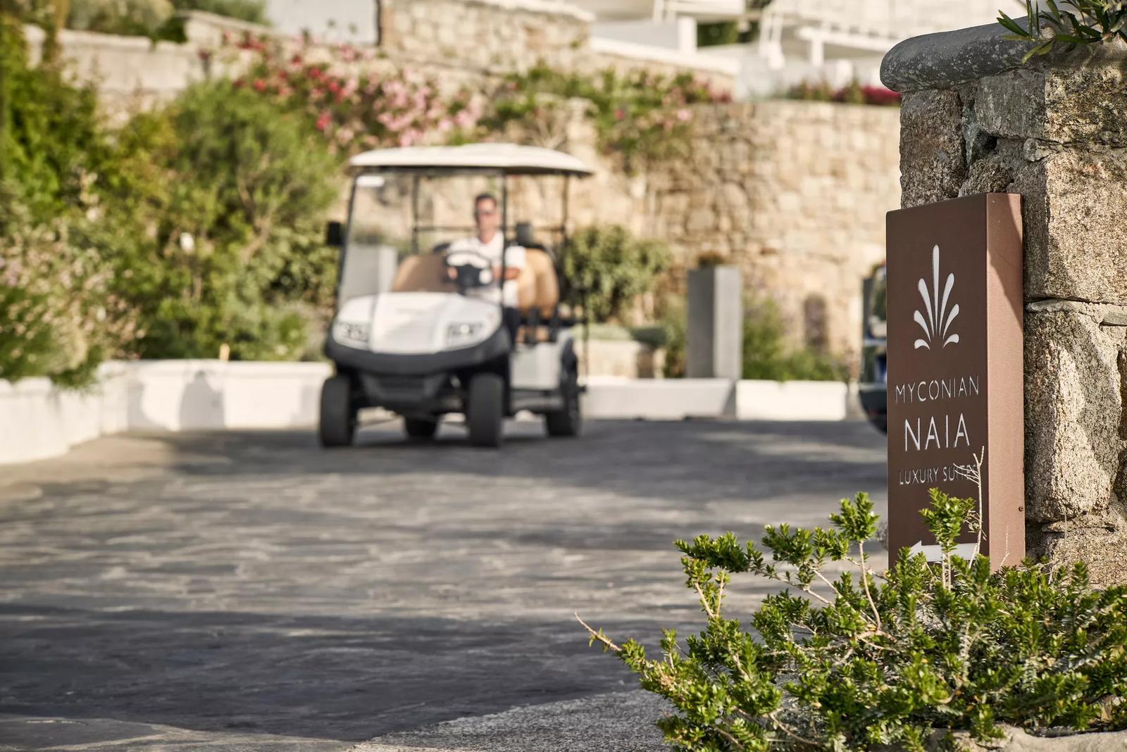 Myconian Naia Luxury Suites