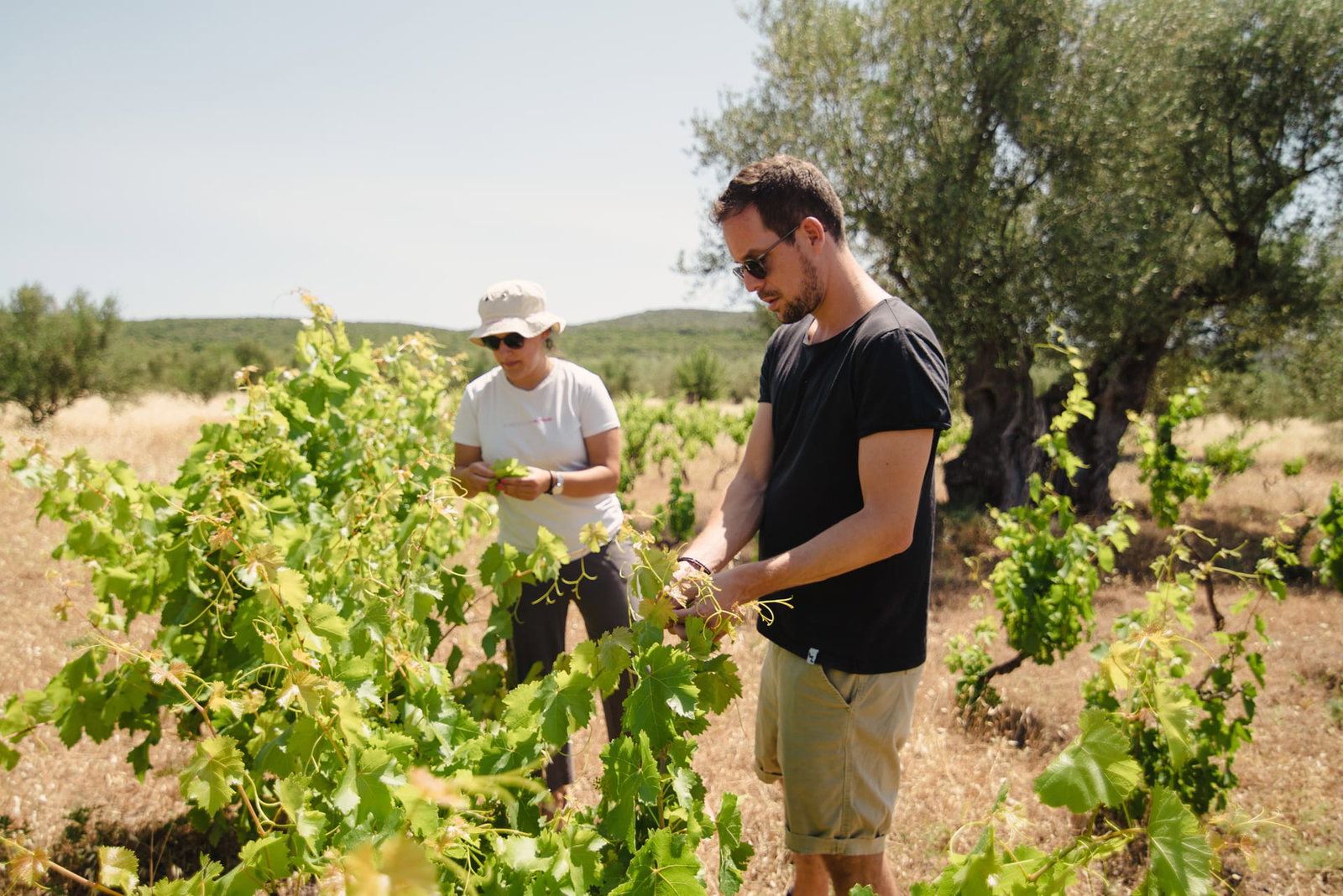 Eumelia Organic Agrotourism Farm & Guesthouse