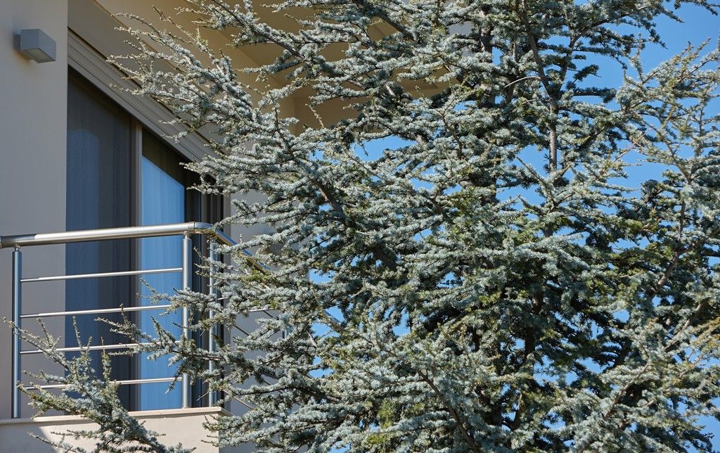 Villa Evergreen