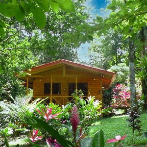 Hotel Cabinas Costa Tropicana cazare Uvita