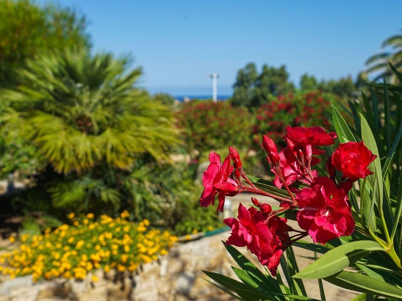 Arinella Residence Club