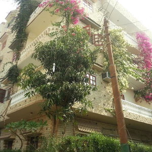 Hotel Royal Apartments Luxor cazare Luxor