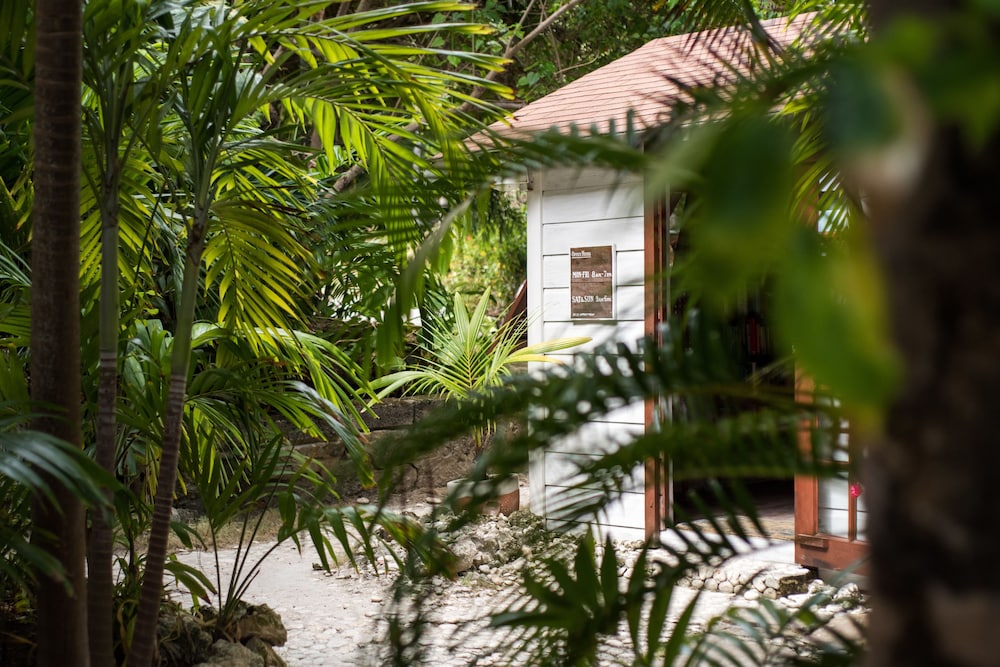 Eco Lifestyle & Lodge