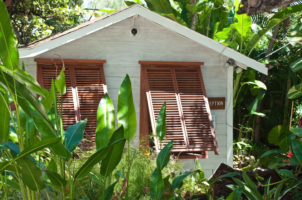 Eco Lifestyle & Lodge