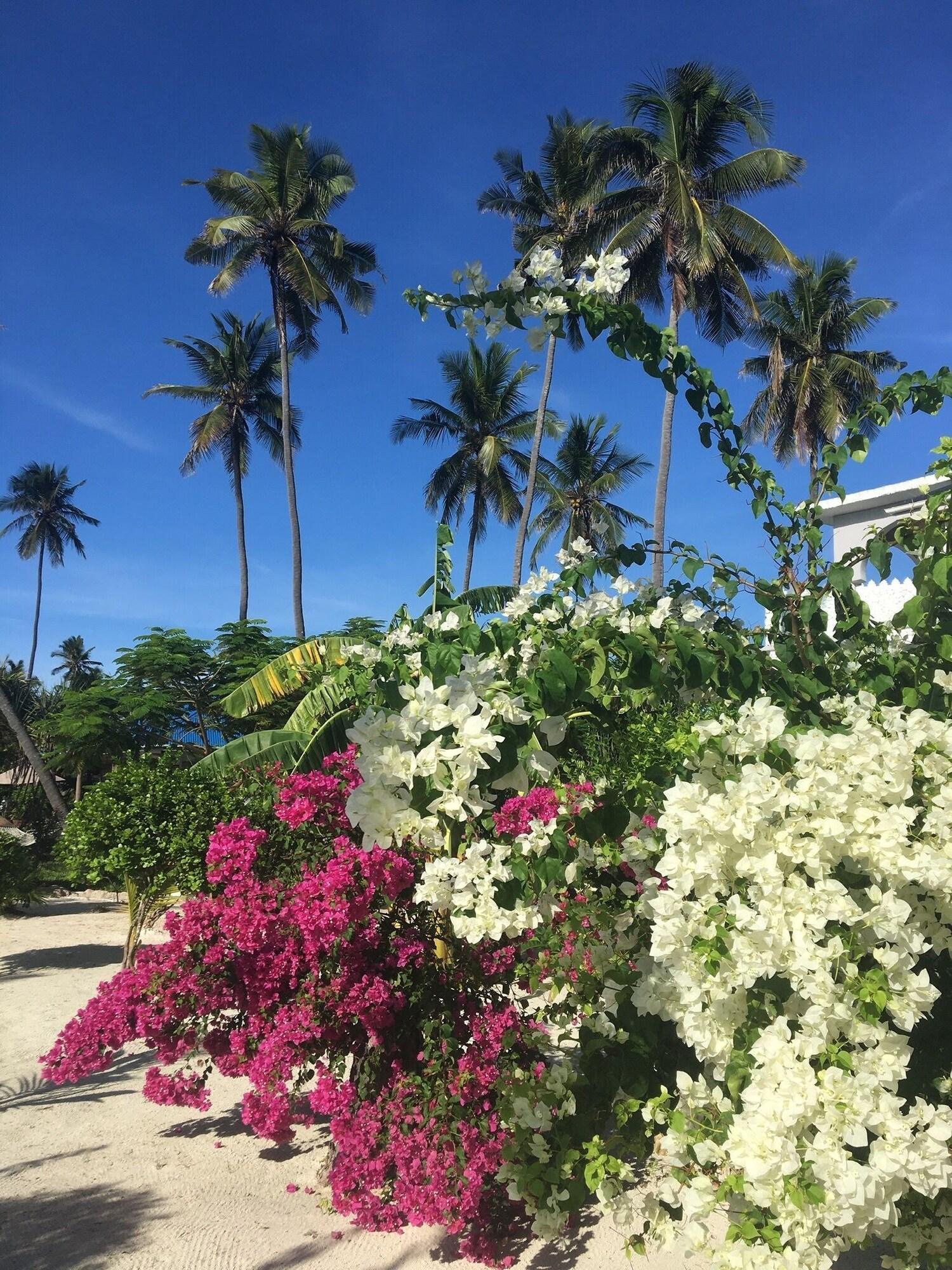 Hotel Jafferji Beach Retreat