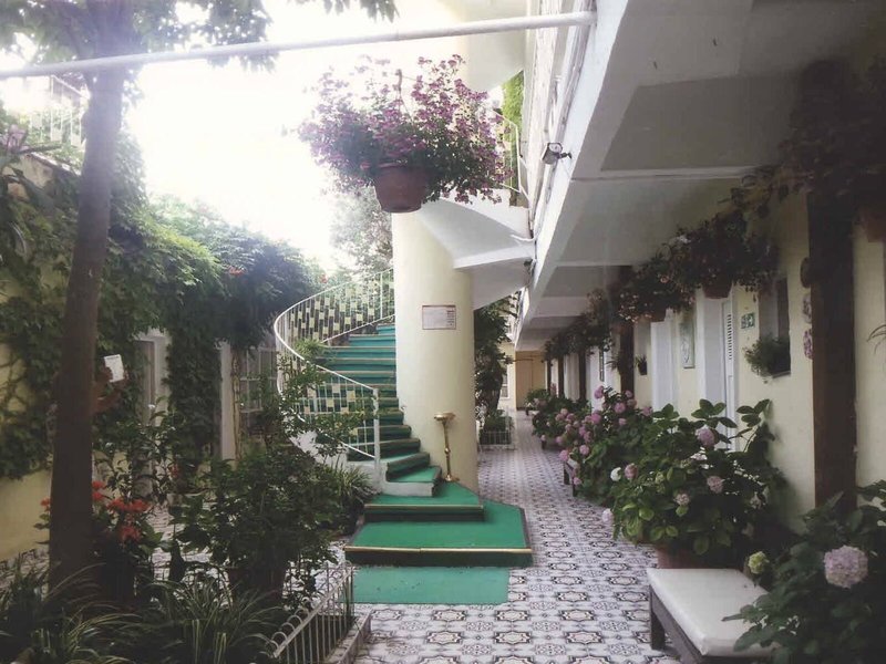 Hotel Hotel Gülplaj