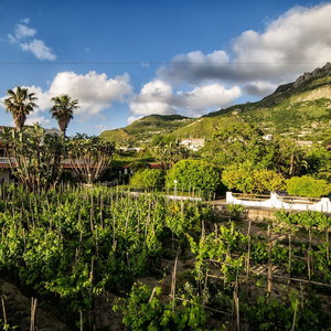 Sejur Residence San Domenico vacanta Ischia