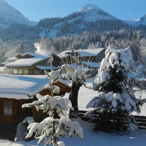 Hotel Haus Baumgartner cazare Schattwald