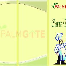 Hotel Palm Beach Palace Tozeur cazare Tozeur