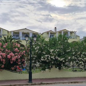Hotel Rania Studios Apartments cazare Skala Potamias
