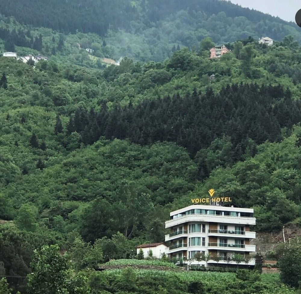 Hotel Voice Hotel