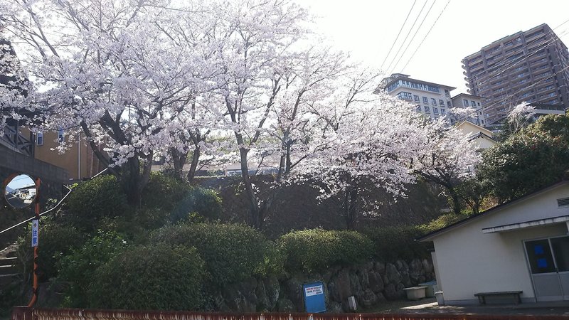 New Matsumi